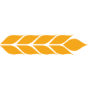 ANDE logo