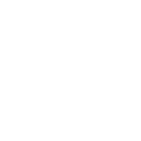 BVS logo