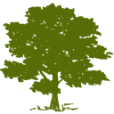 CYH logo
