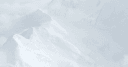 DNLI logo