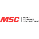 MSM logo