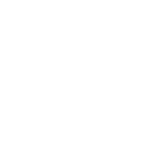 NLY logo