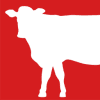 OBCHX logo