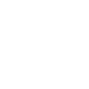 RACE logo
