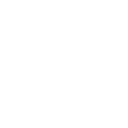 SKIN logo
