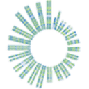 SLNO logo