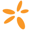SNN logo