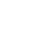 V logo