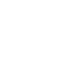 STT logo