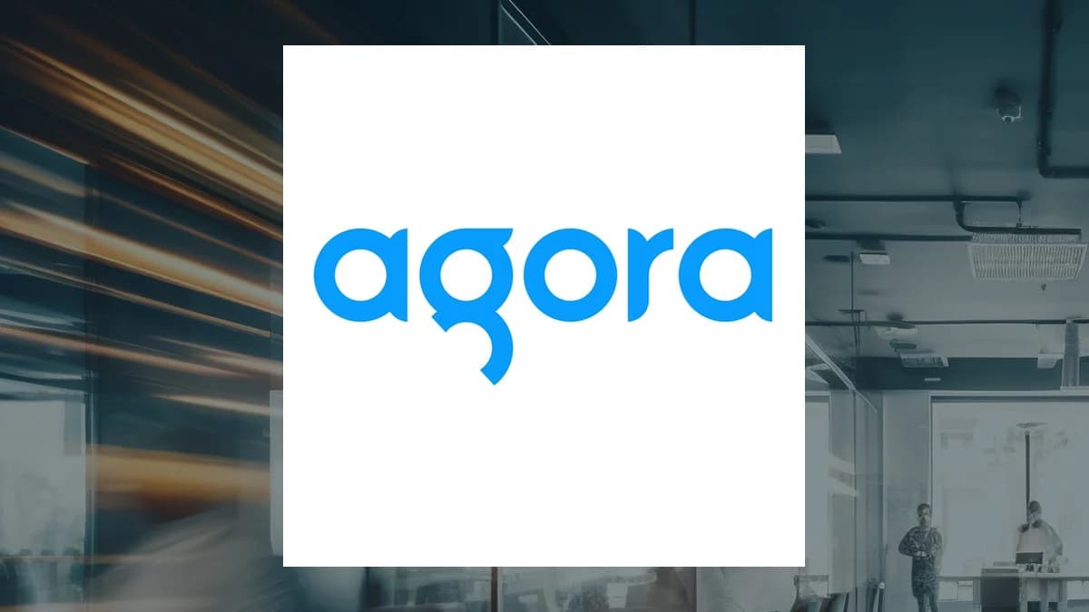 Agora (NASDAQ:API) versus Lesaka Technologies (NASDAQ:LSAK) Critical Review
