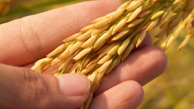 Best Income Stocks to Buy for Dec. 4