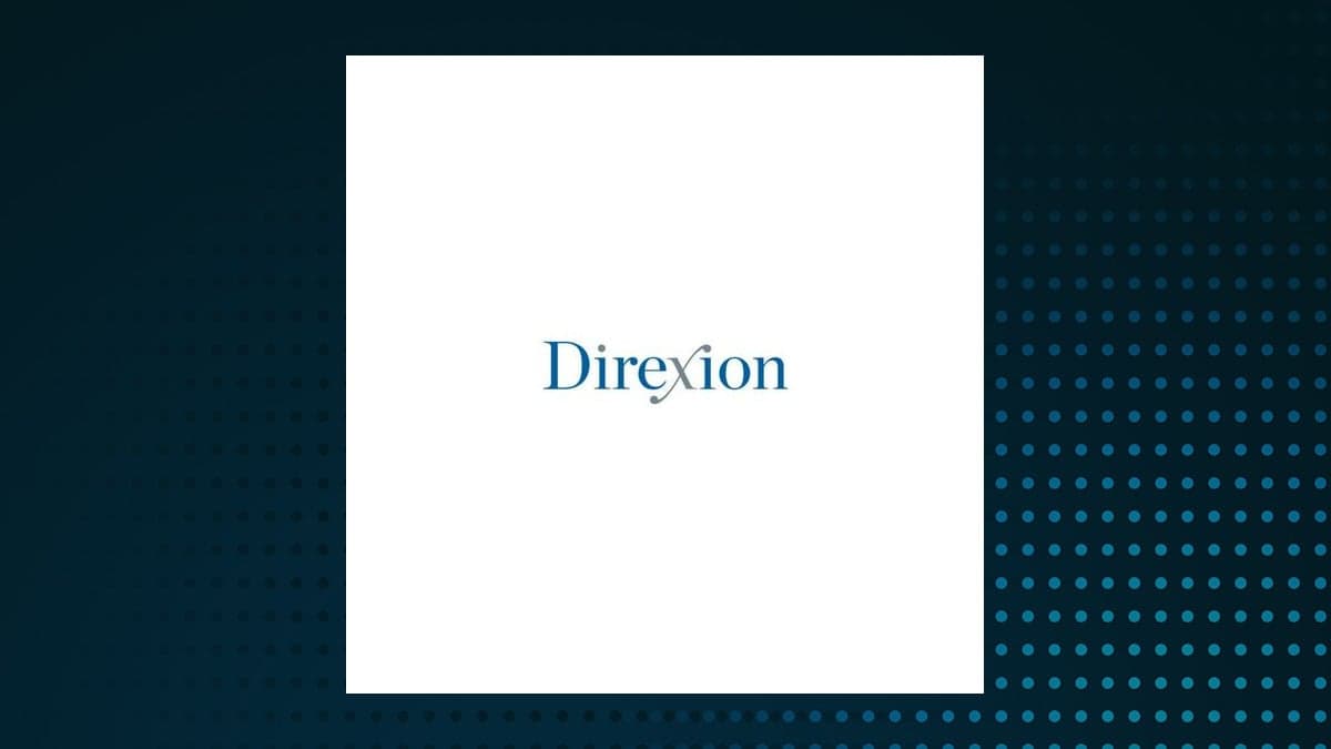 Direxion Daily Junior Gold Miners Index Bull 2X Shares (NYSEARCA:JNUG) Sets New 12-Month High – Time to Buy?