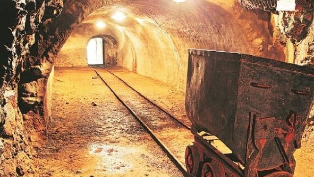 Here Are the Best-Performing High-Yield Dividend Stocks of 2025. Are They Good Picks for the New Year?