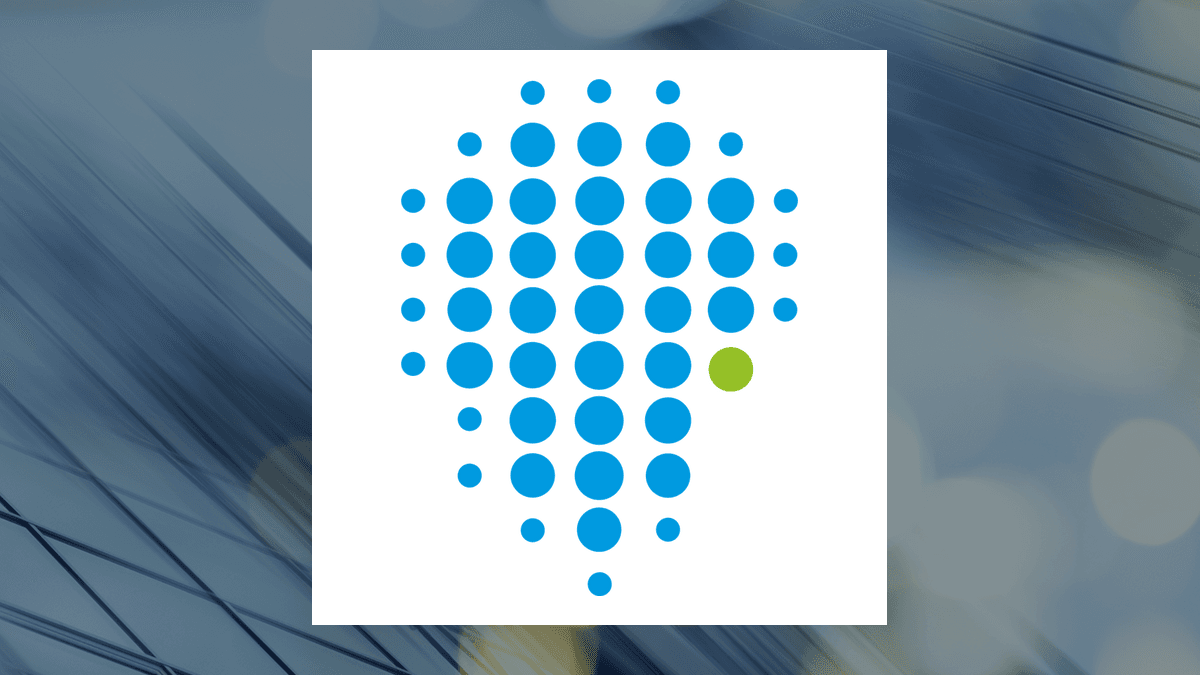 Ituran Location and Control (NASDAQ:ITRN) versus American Rebel (NASDAQ:AREB) Head-To-Head Contrast