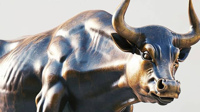 Tim Seymour: Early in a international market bull cycle underpinned by fundamentals