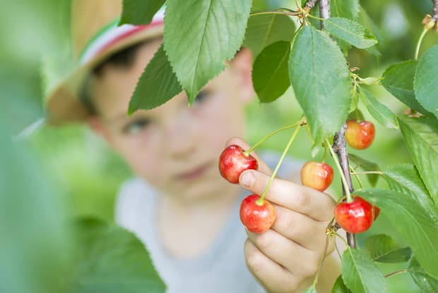 Trade War or Not, Specific Industry ETFs Are in Sweet Spots