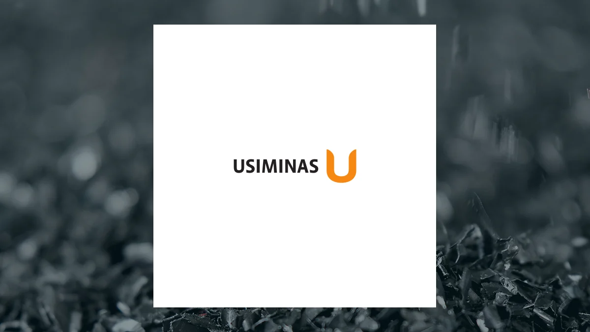 Usinas Siderurgicas de Minas Gerais (OTCMKTS:USNZY) Trading 2.9% Higher – Here’s What Happened