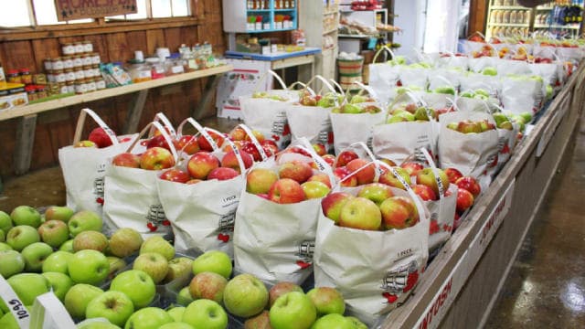 Why a Fund Just Added $18.5 Million to Grocery Outlet Despite a 40% One-Year Stock Slide